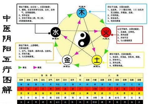 木生火 火生土 土生金 金生水|五行为什么会相生相克？原理是什么？